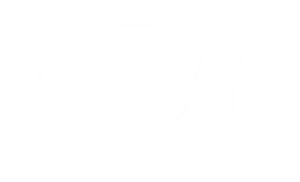 thecutNYmag-white.png